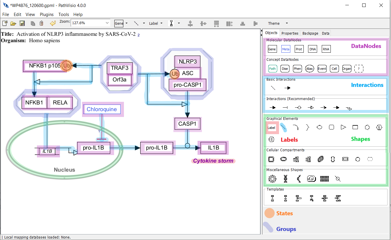 PathVisio4 user interface, with open pathway WP4876. In this diagram, we color DataNodes (Purple), States (Orange), Interactions/Graphical Lines (Light Blue), Lables (Red), Shapes (Green), and Groups (Dark Blue).